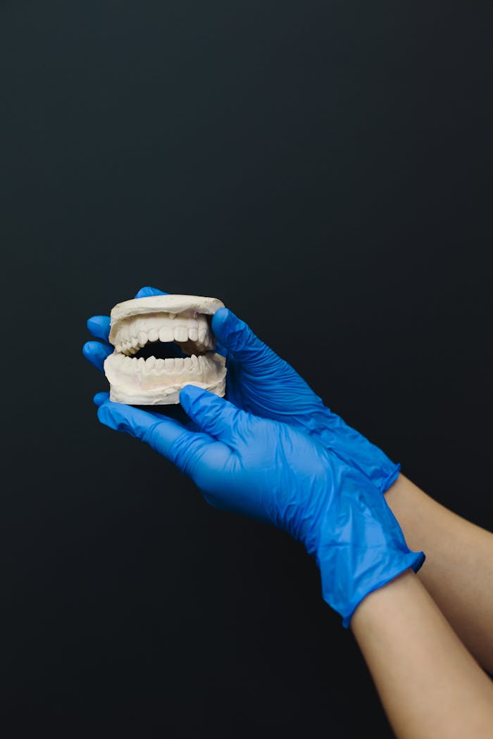 services-03 Detailed dental model held by hands in blue gloves, ideal for dental care themes.